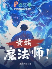 主角是贵族法师的