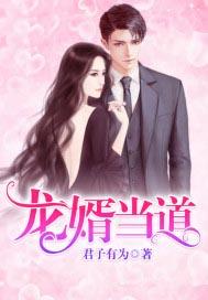 狂龙赘婿