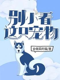 太古龙墟